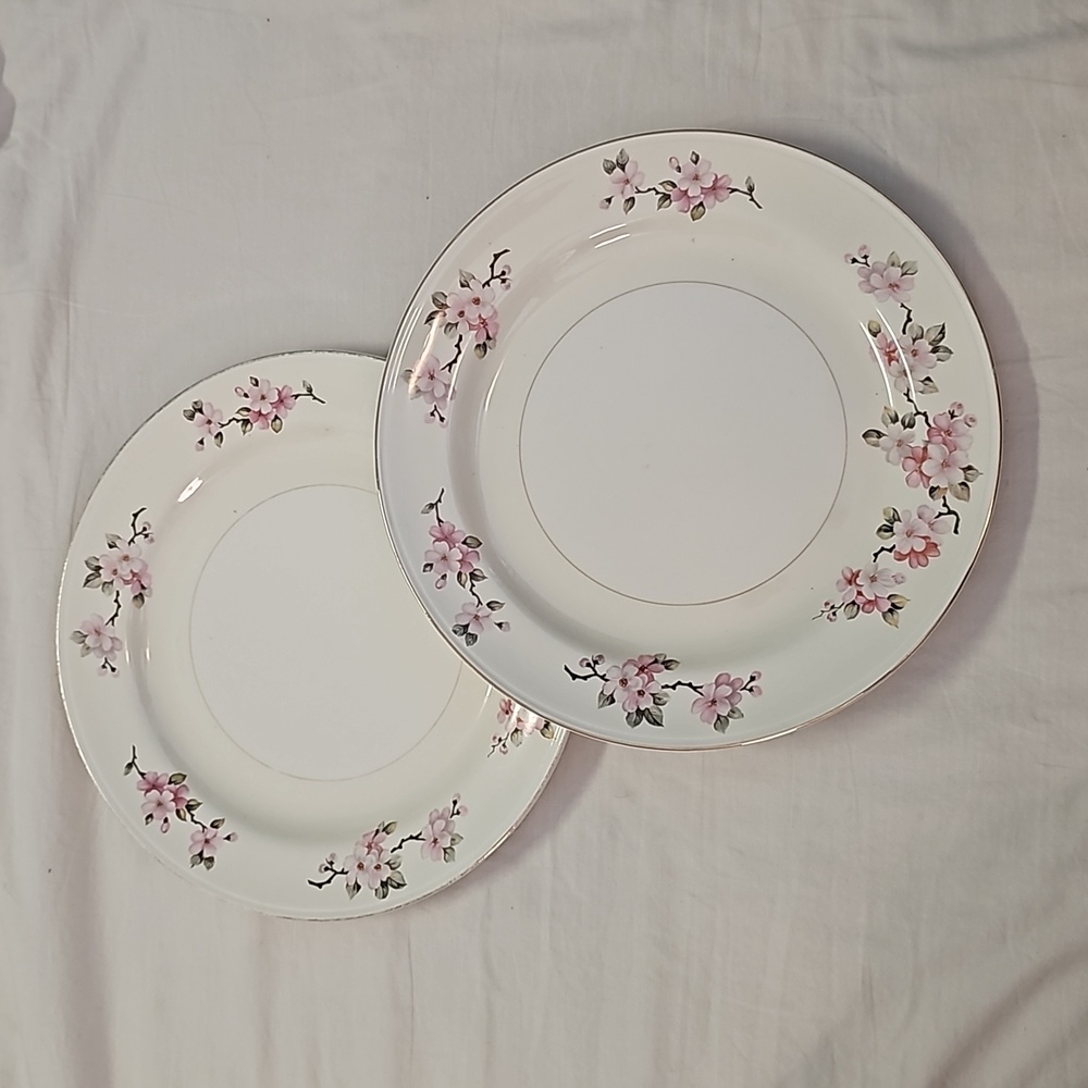 1950s Homer Laughlin Eggshell Nautilus plates cherry blossom pattern (2)